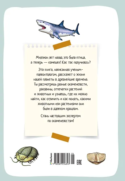 Древний мир. Окаменелости. Животные и растения. Наши предки - фото 2
