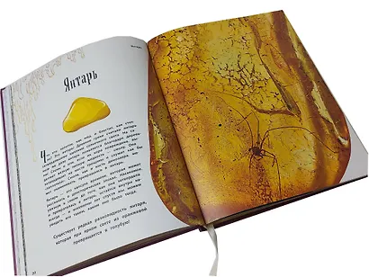 Чудеса природы. Энциклопедия - фото 6