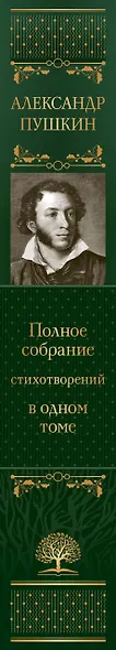 Александр Пушкин. Полное собрание стихотворений в одном томе - фото 11