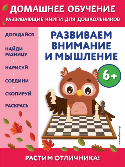 Развиваем внимание и мышление: для детей от 6 лет - фото 1