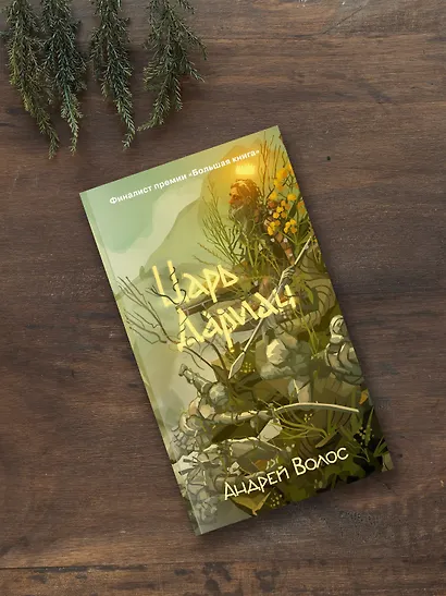 Царь Дариан - фото 6