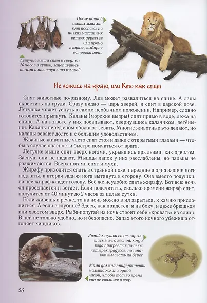 Занимательная биология - фото 6