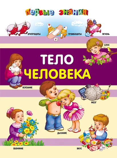 Тело человека - фото 1