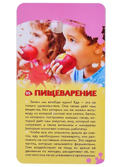 Тело человека. Викторина на карточках - фото 3