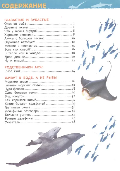 Акулы, киты и дельфины. Энциклопедия для детского сада - фото 2