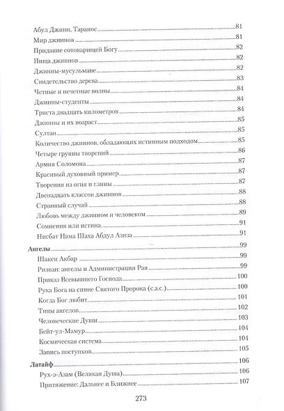 Суфизм (тв. Диля) - фото 5