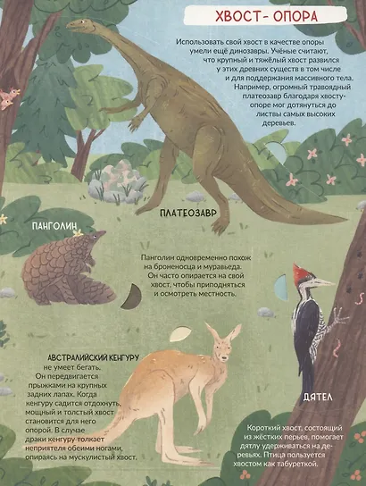 Энциклопедия с окошками (ЦК) Хвост не прост - фото 3