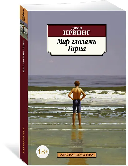 Мир глазами Гарпа - фото 2