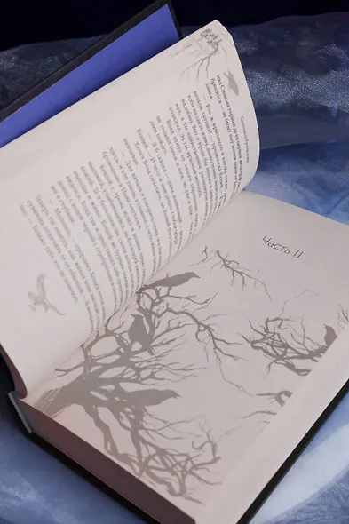 Сказ о Владе-вороне - фото 10