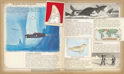 Океанология. Подлинный отчет о путешествии на "Наутилусе" - фото 6
