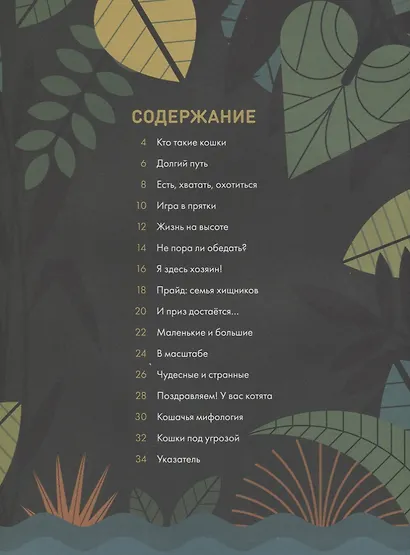 Без ума от кошек - фото 3