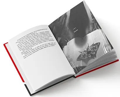 Книжный магазин памяти - фото 3