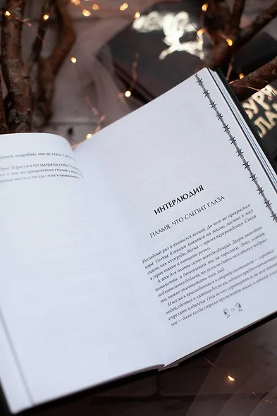 Буря и пламя - фото 9