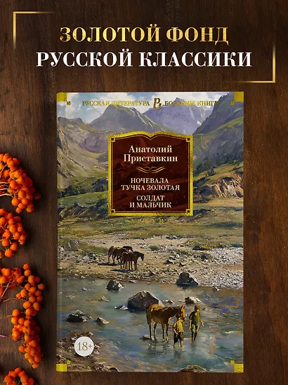 Ночевала тучка золотая. Солдат и мальчик - фото 4