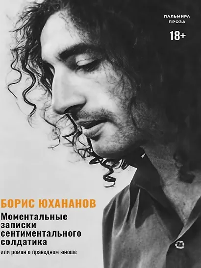 Моментальные записки сентиментального солдатика, или Роман о праведном юноше - фото 1