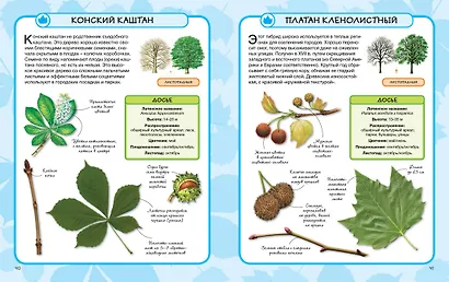 Деревья - фото 7