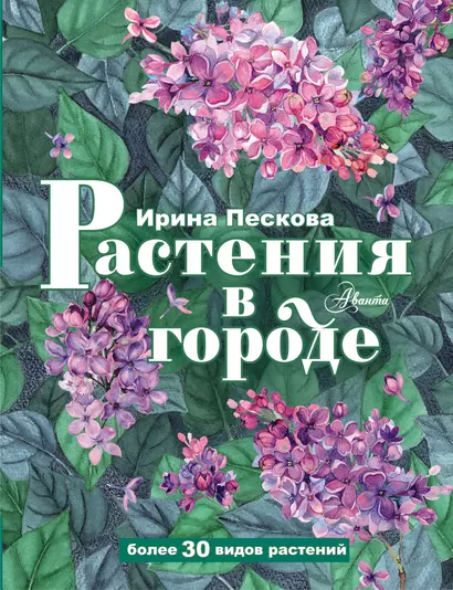 Растения в городе - фото 1