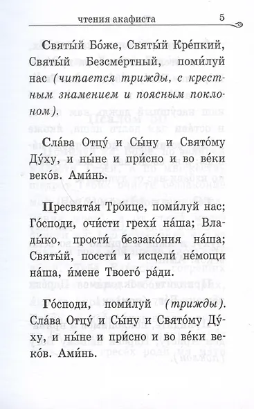 Акафистник за Отечество. "Щит земли Русской" - фото 6