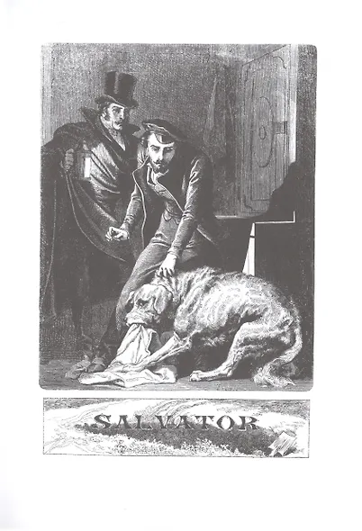 Сальватор, в двух томах - фото 4