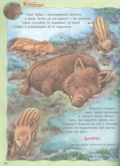Кто живёт в лесу? Развивающие задания + более 60 наклеек с животными. 4-6 лет - фото 4