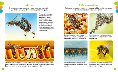 Животные-малютки - фото 6