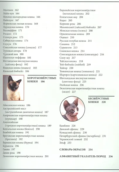 ЭНЦИКЛОПЕДИЯ. ЭНЦИКЛОПЕДИЯ О КОШКАХ И СОБАКАХ - фото 9
