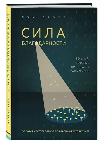 Сила благодарности. 30 дней, которые преобразят вашу жизнь - фото 3