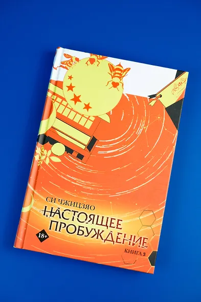 Настоящее пробуждение. Real Awakening. Книга 3 - фото 10