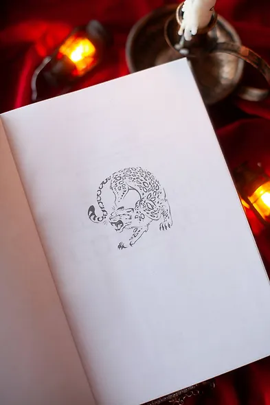 Потерявший солнце. Том 2 - фото 11