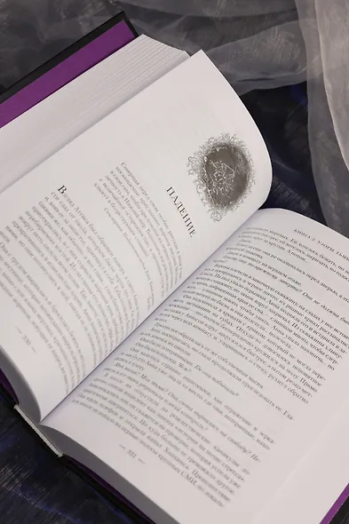 Язык магии. Книга 2. Узоры тьмы - фото 12