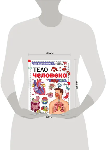 Тело человека - фото 3