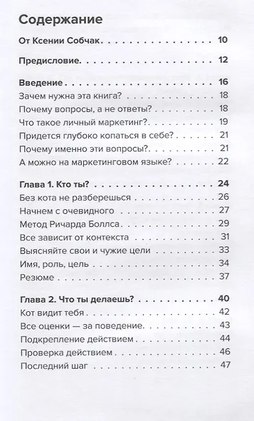 Метод большого Я. Откуда у тебя деньги и еще 11 вопросов личного маркетинга - фото 2