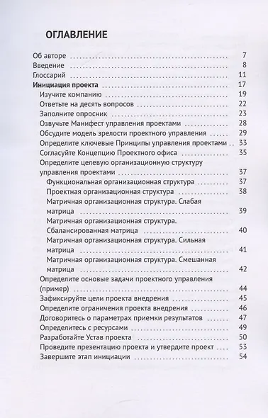 Внедрение проектного управления - фото 3