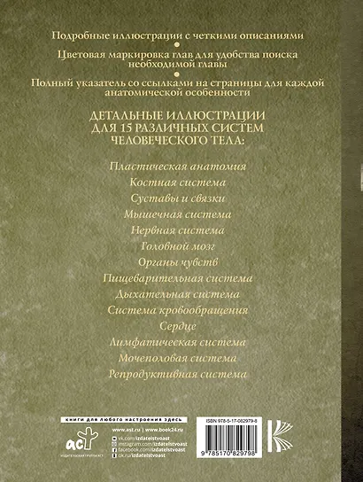 Большой атлас анатомии человека - фото 2