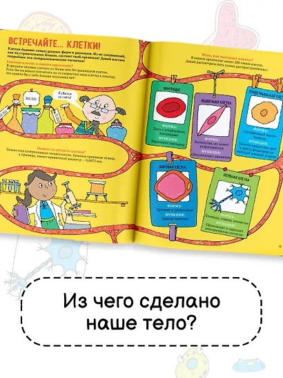 Тело человека. Энциклопедия для детей - фото 5