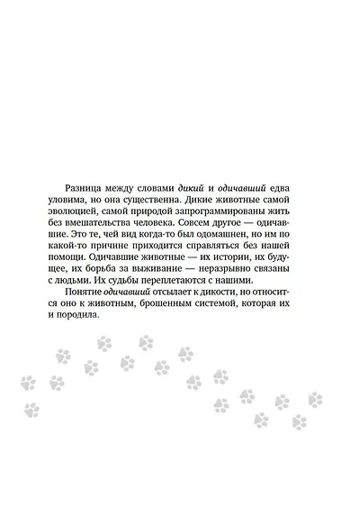Тридцать кошек и ни одной чужой. Мемуары о жизни, любви и принятии себя - фото 8