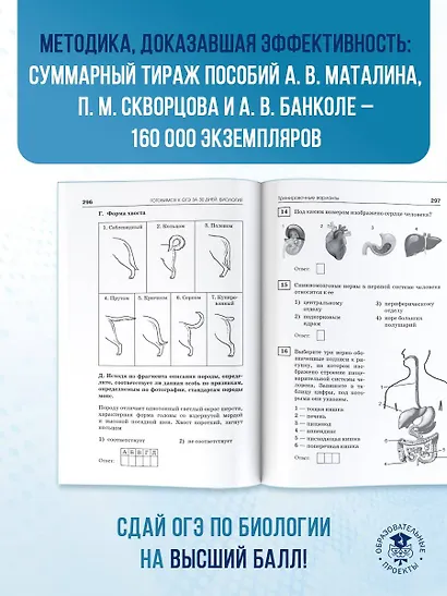 Готовимся к ОГЭ за 30 дней. Биология - фото 6