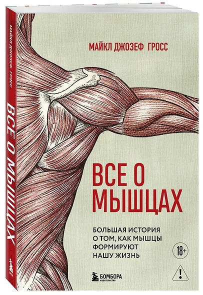 Все о мышцах. Большая история о том, как мышцы формируют нашу жизнь - фото 3