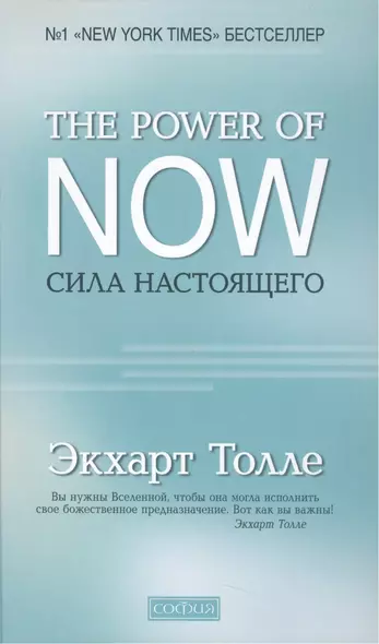 "The Power of Now".Сила Настоящего - фото 1