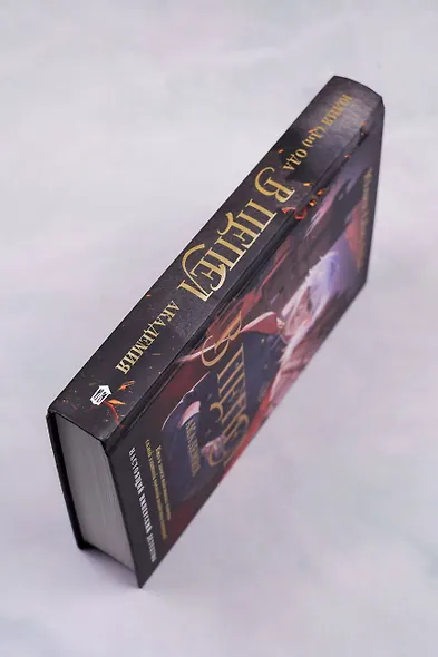 В пепел. Академия - фото 8