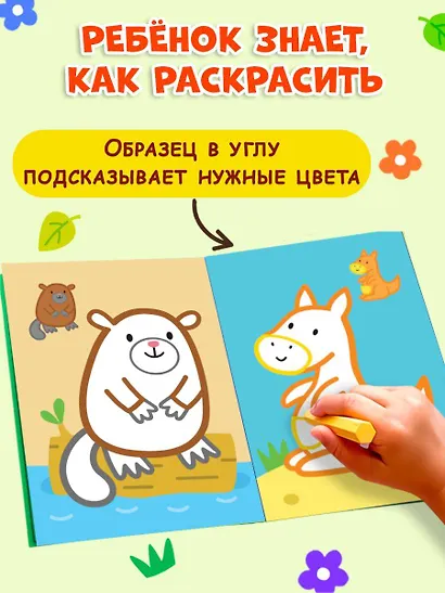 Раскраска с цветным контуром (Сова) - фото 6