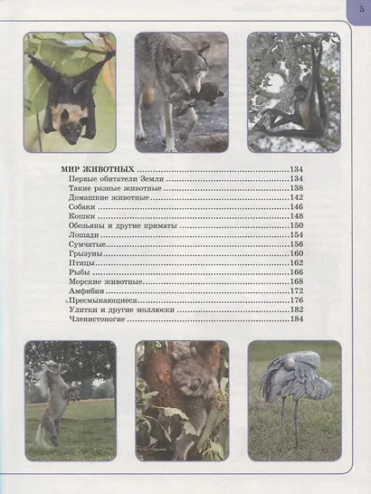 Что? Зачем? Почему? - фото 4