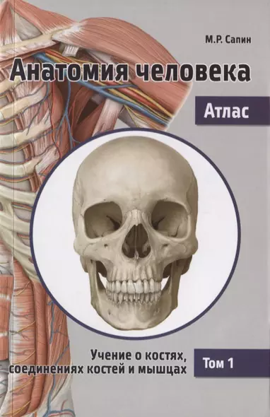 Анатомия человека. Атлас. В 3 т. Т. 1: Учение о костях, соединениях костей и мышцах: Учебное пособие - фото 1