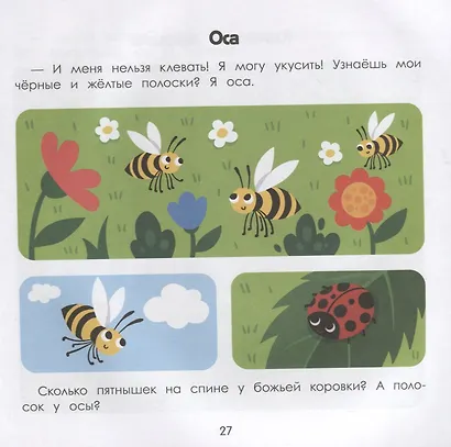 Лес: энциклопедия для малышей в картинках - фото 6