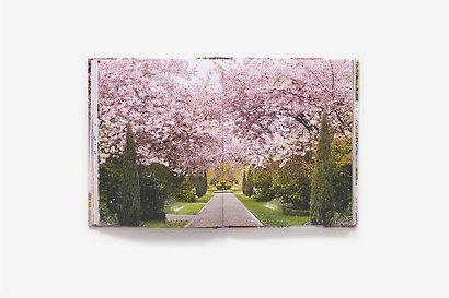 London in Bloom - фото 2