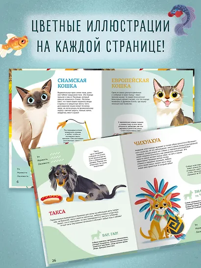 Все-все-все домашние питомцы - фото 5