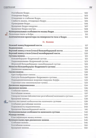 Руководство по кинезиологии. Функциональная анатомия. Биомеханика. Оценка состояния суставов и мышц - фото 4