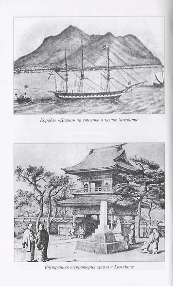 Цунами - фото 3