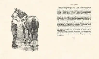 Чёрный Красавчик - фото 6