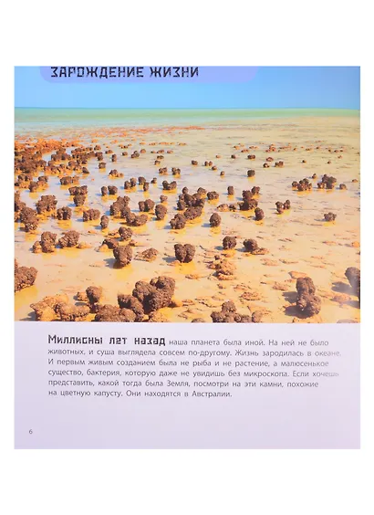 От динозавра до компьютера. История нашего мира - фото 3